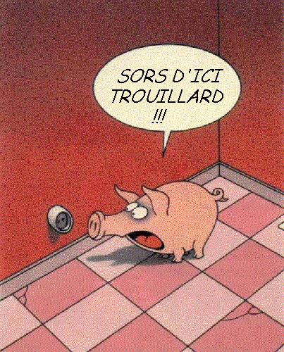 les réflections de Maitre COCHON