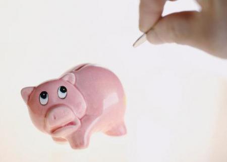 les réflections de Maitre Cochon