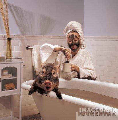 les réflections de MAITRE COCHON